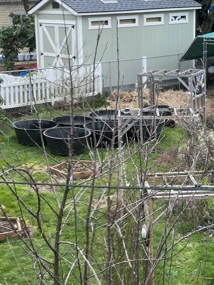 Local yard cleanup service for outdoor upgrades in Vancouver, WA by Affordable Ponds