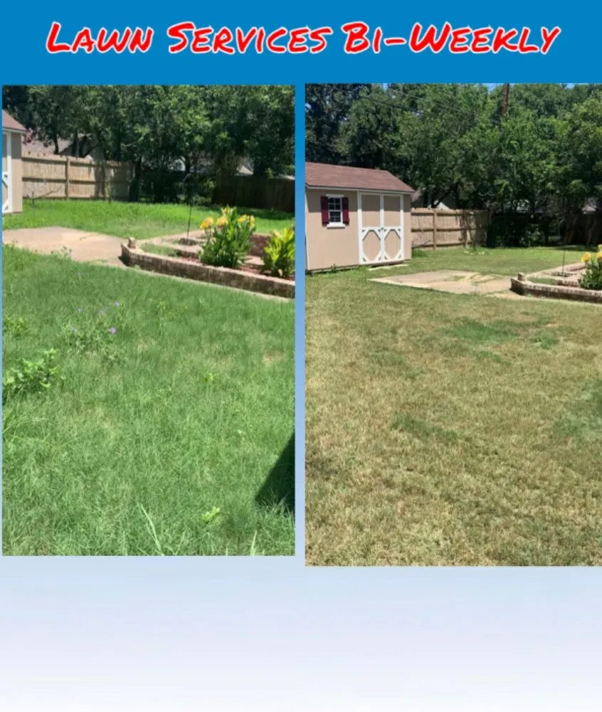 Top-rated landscaping services for residential properties across Canyon Lake, TX - Affordable Power-Washing Services