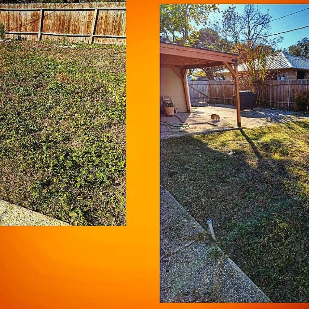 Professional lawn care service experts serving Canyon Lake, TX - Affordable Power-Washing Services