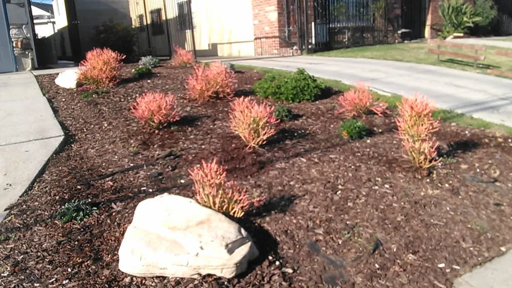 Professional residential landscaping in Harbor City, CA by Affordable Professional Reliable House Cleaning