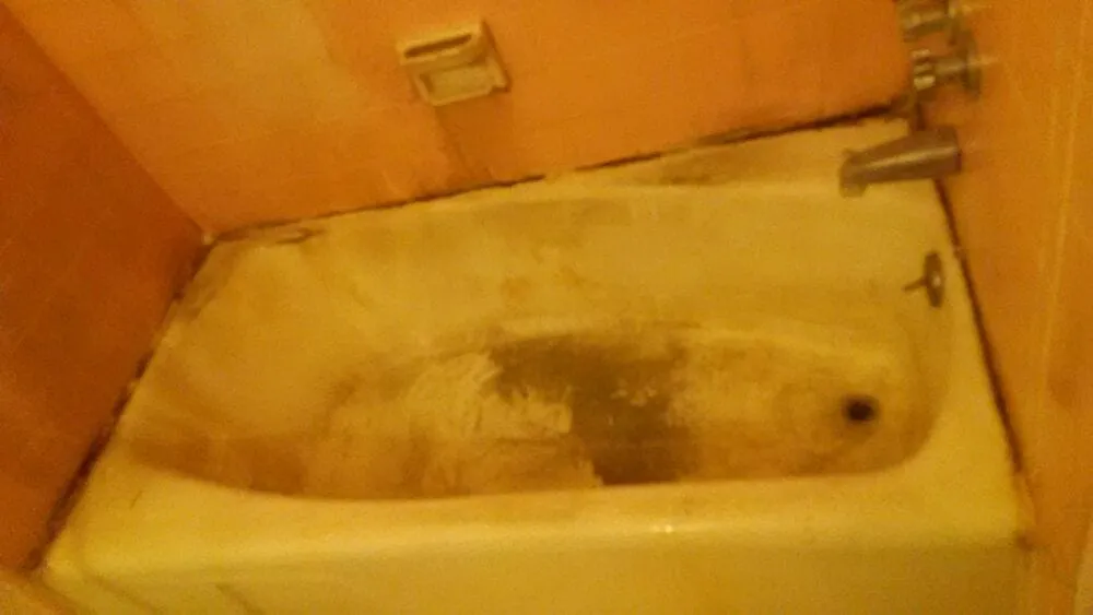 Top-rated residential landscaping experts serving Harbor City, CA - Affordable Professional Reliable House Cleaning