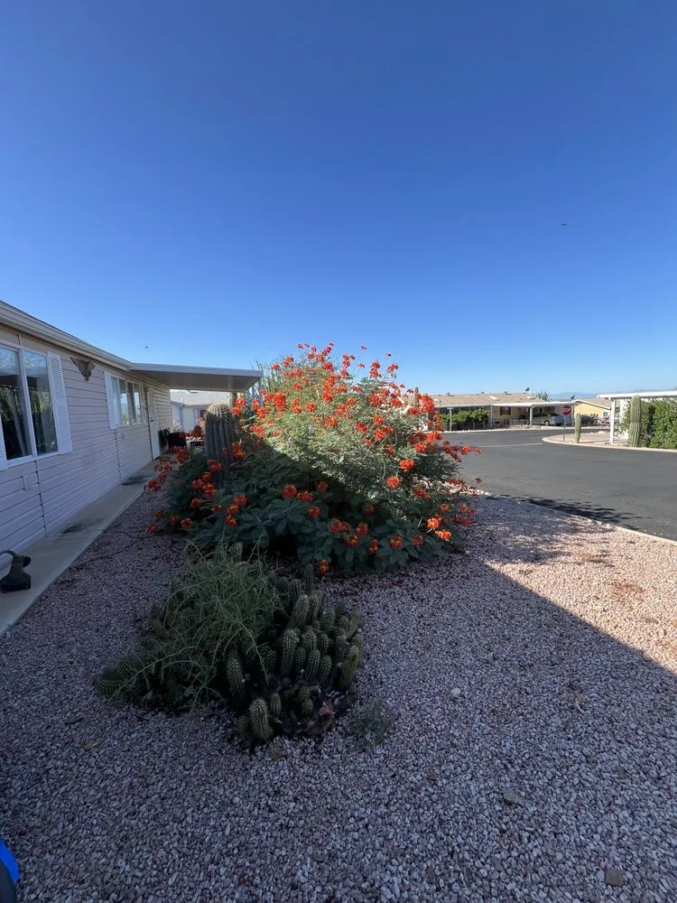 Professional residential landscaping in Tucson, AZ - Affordable Property Care
