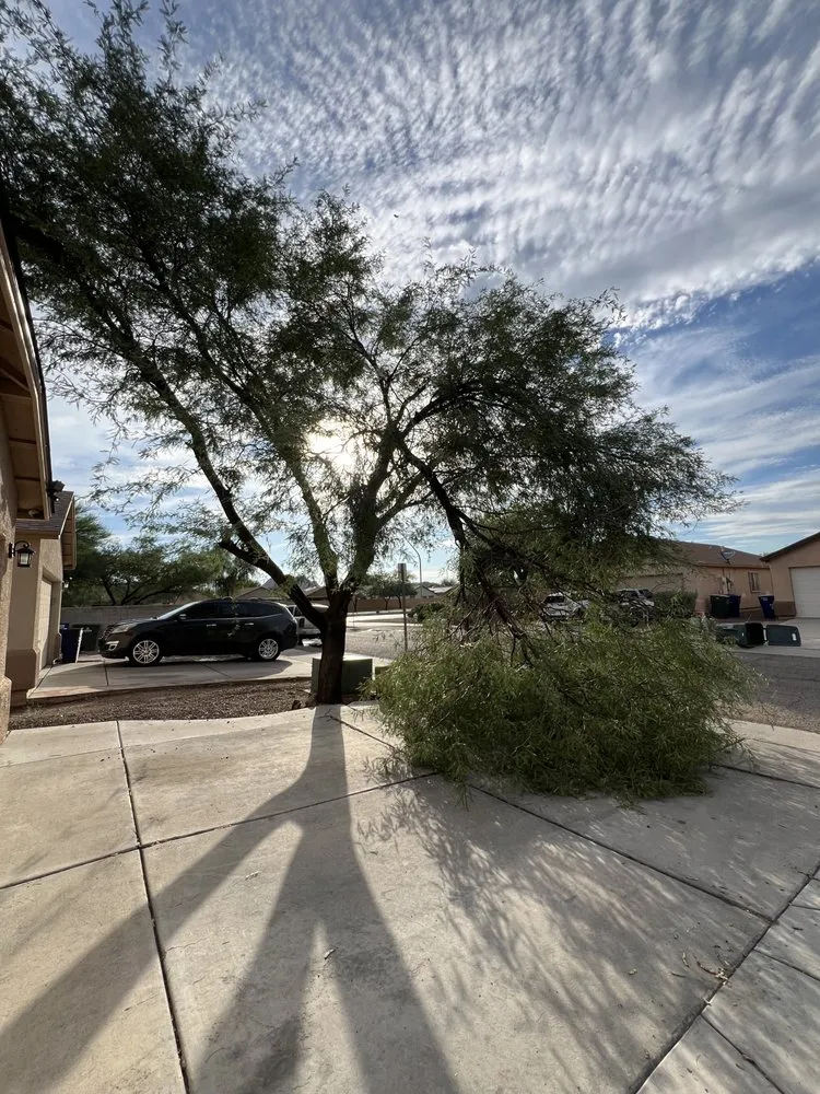 Professional landscape design with custom design across Tucson, AZ - Affordable Property Care