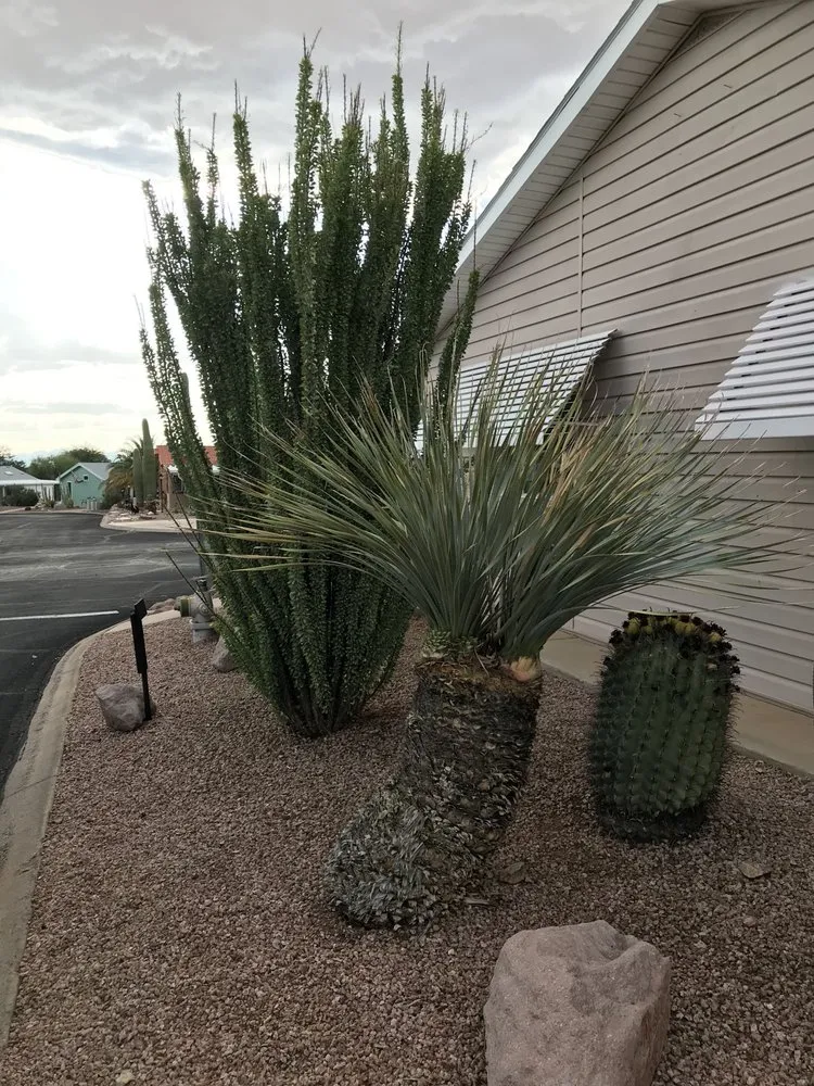 Professional residential landscaping in Tucson, AZ by Affordable Property Care