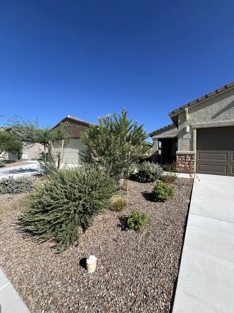 Expert yard maintenance in Tucson, AZ - Affordable Property Care