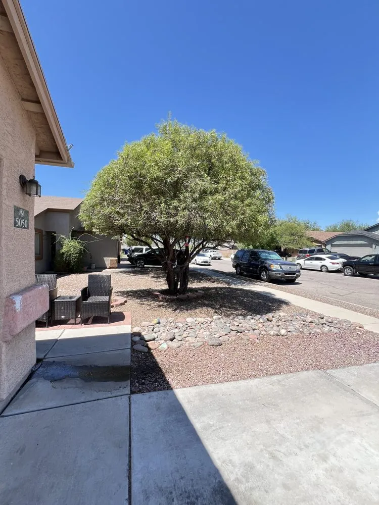 Affordable landscape design for beautiful yards across Tucson, AZ - Affordable Property Care