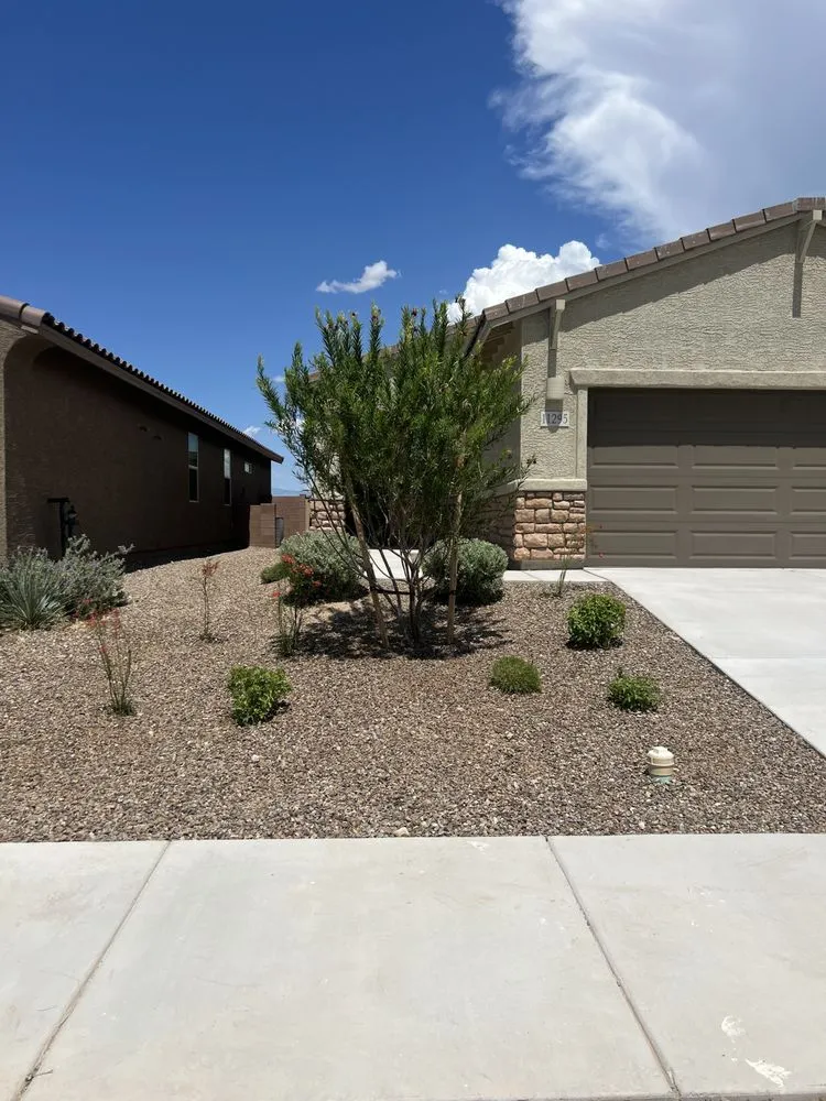 Professional yard cleanup service for homes across Tucson, AZ - Affordable Property Care
