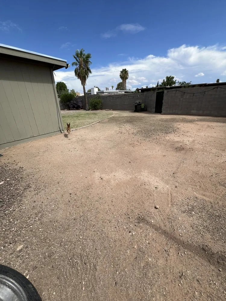 Professional lawn care service in Tucson, AZ by Affordable Property Care