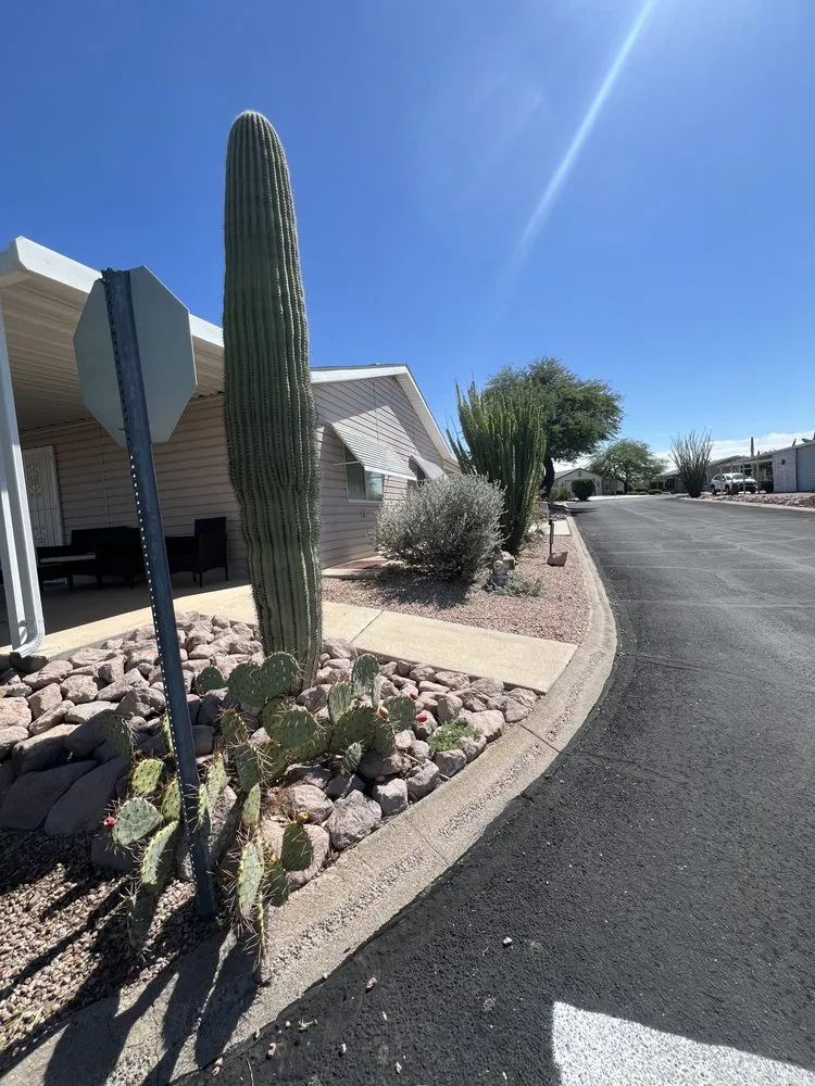 Custom residential landscaping in Tucson, AZ - Affordable Property Care