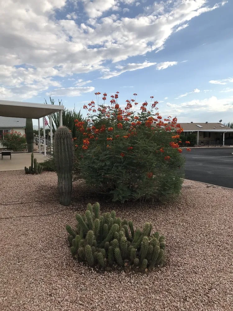 Custom landscape design in Tucson, AZ by Affordable Property Care