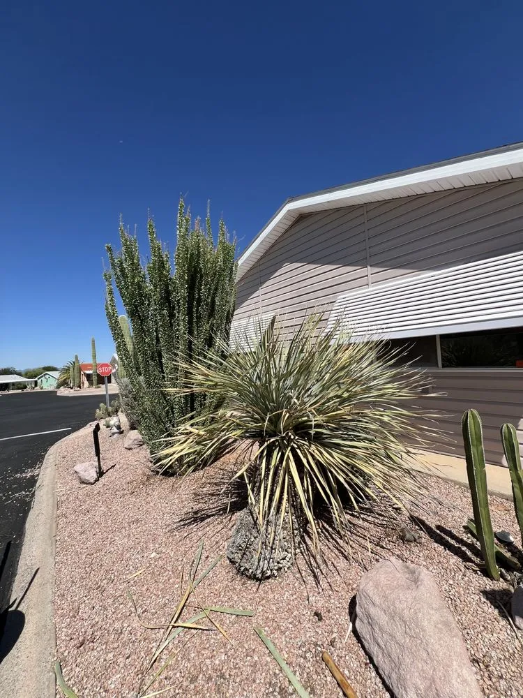 Top-rated garden landscaping in Tucson, AZ - Affordable Property Care