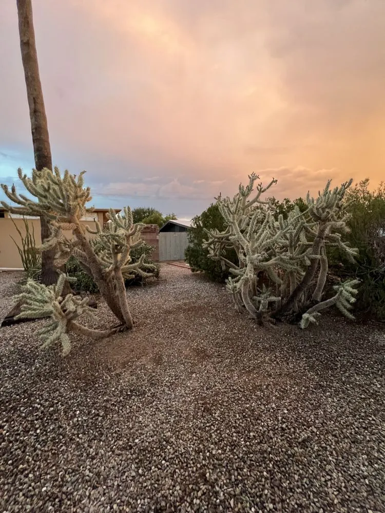 Professional garden landscaping near you across Tucson, AZ - Affordable Property Care