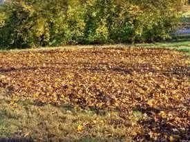 Trusted yard maintenance experts serving Bradford, RI - Affordable Property Maintenance