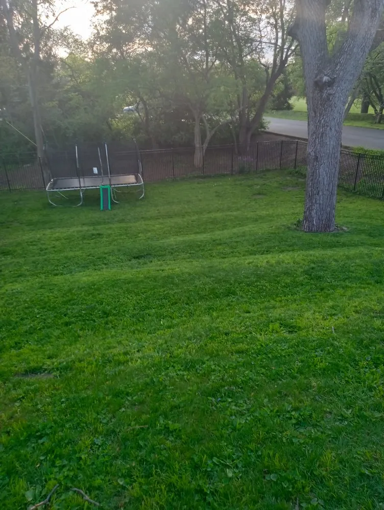 Local residential landscaping in Columbus, IN by Affordable Property Maintenance