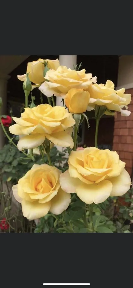 Local lawn mowing service experts serving Oregon City, OR - Affordable Quality Landscape