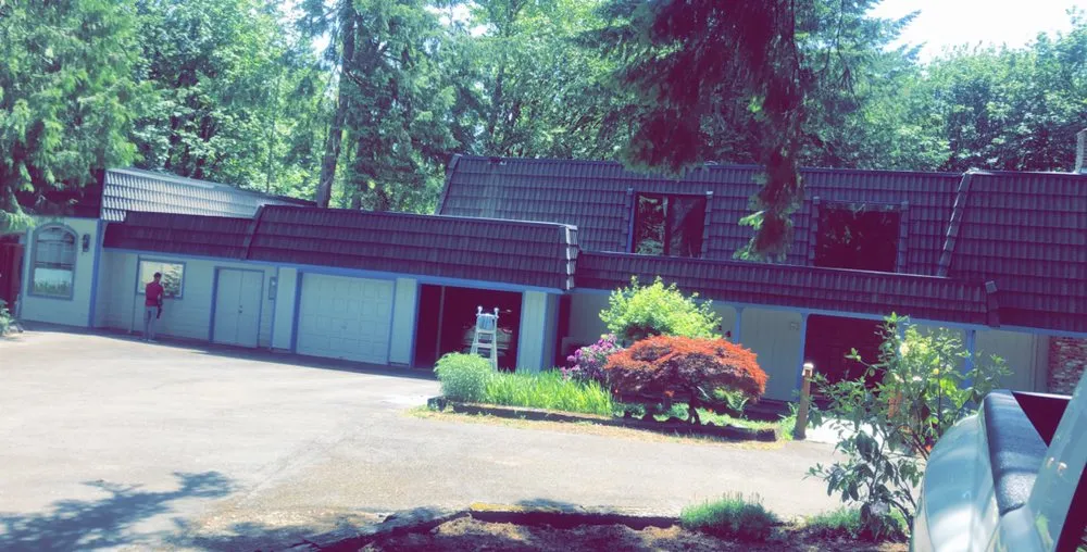 Reliable yard cleanup service experts serving Olympia, WA - Affordable Quality Window Washing