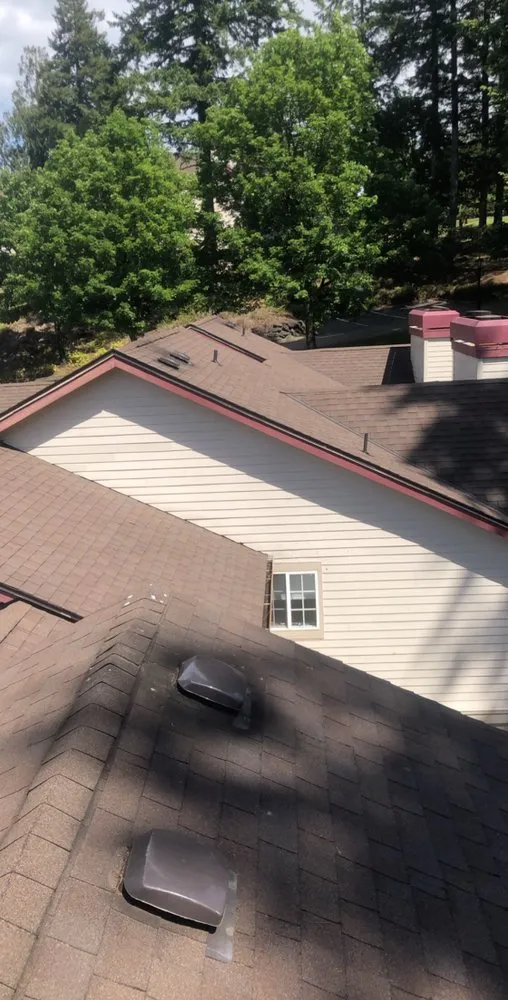 Local outdoor landscaping for beautiful yards across Olympia, WA - Affordable Quality Window Washing