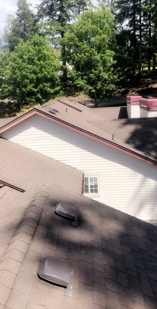 Local lawn mowing service in Olympia, WA by Affordable Quality Window Washing