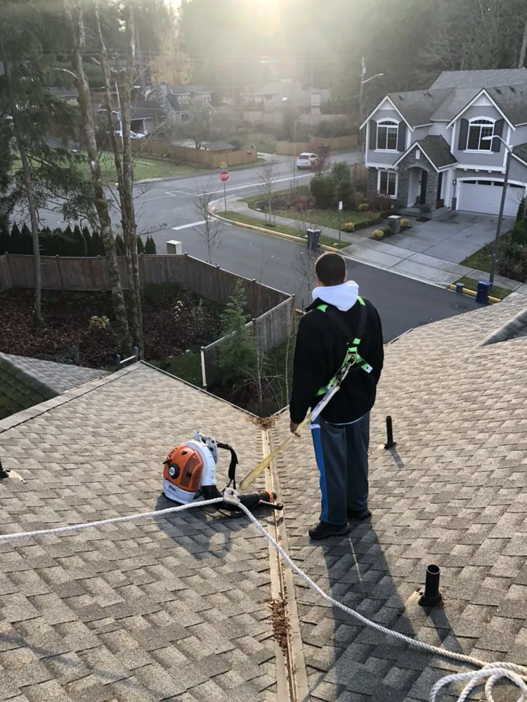 Top-rated lawn mowing service with custom design across Olympia, WA - Affordable Quality Window Washing