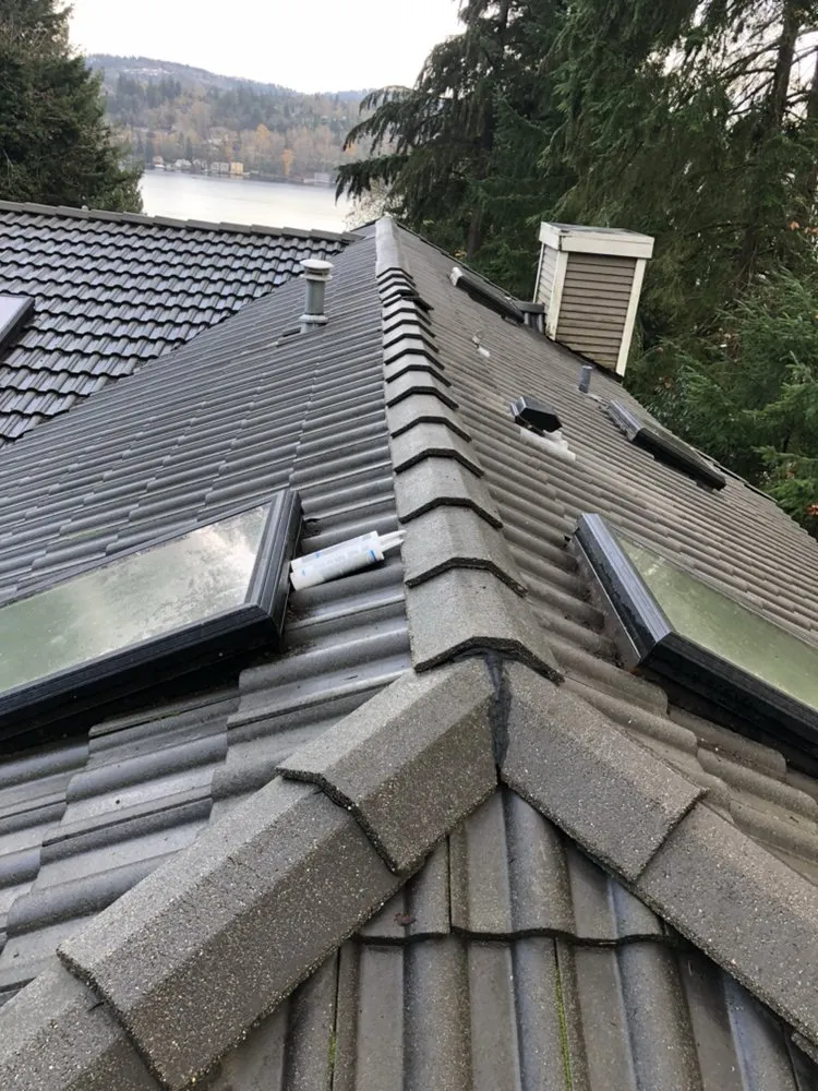 Local lawn mowing service for homes in Olympia, WA by Affordable Quality Window Washing