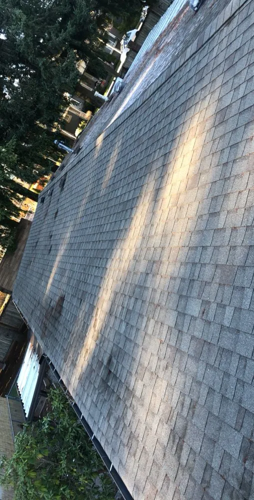 Trusted yard cleanup service in Olympia, WA - Affordable Quality Window Washing