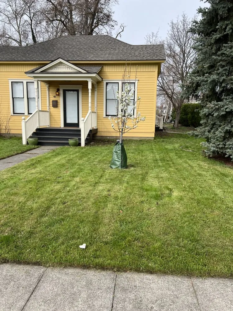 Top-rated outdoor landscaping for homes in Walla Walla, WA by Affordable Quality Yard Care