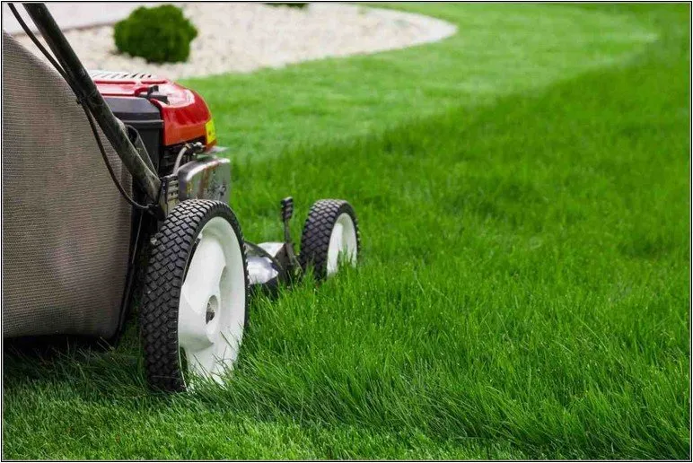 Reliable lawn mowing service in Walla Walla, WA by Affordable Quality Yard Care