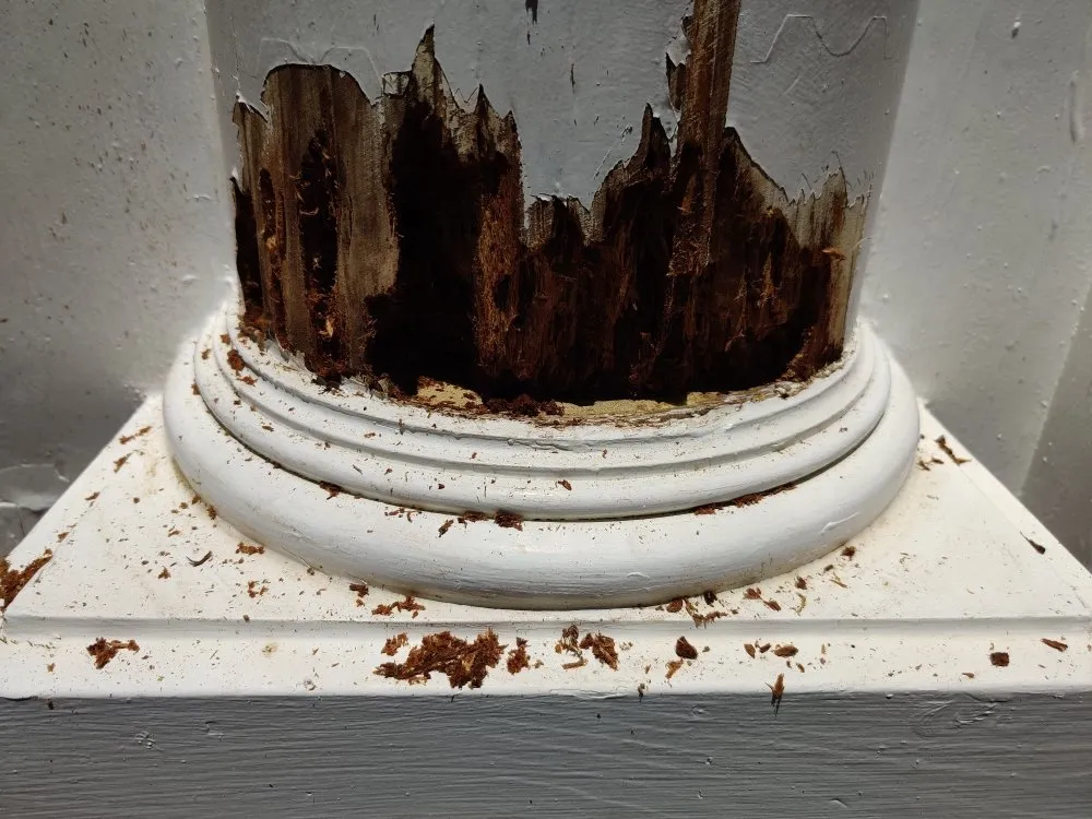 Top-rated yard maintenance for homes in Dacula, GA by Affordable Residential Solutions