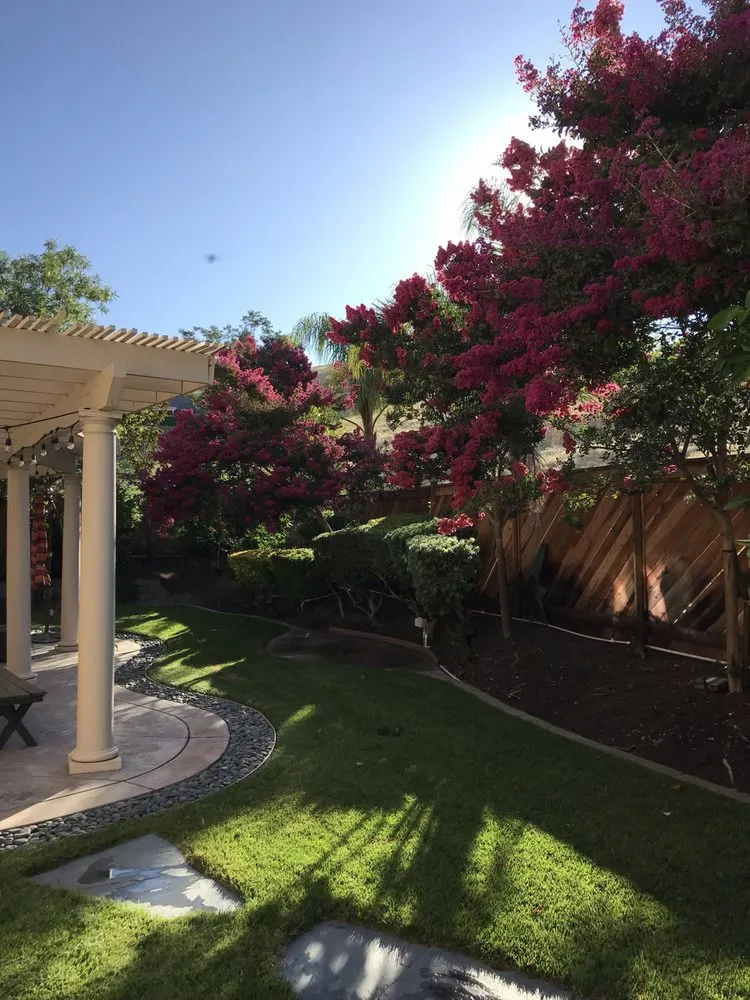 Professional yard maintenance in Suisun City, CA - Affordable Season Landscaping Care