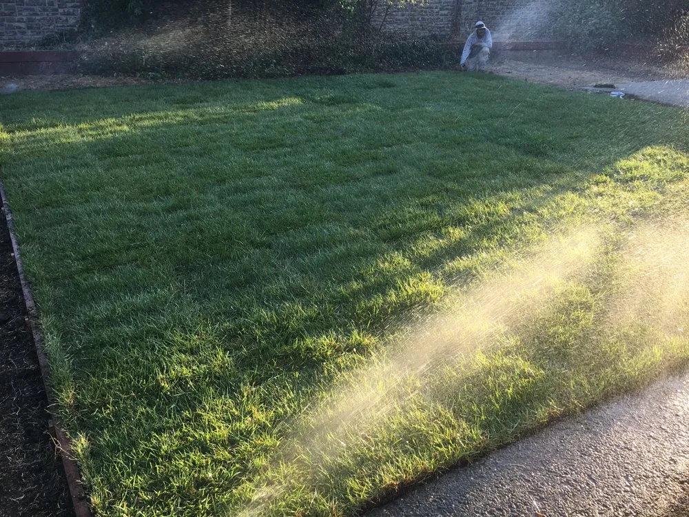 Expert outdoor landscaping for beautiful yards in Suisun City, CA by Affordable Season Landscaping Care