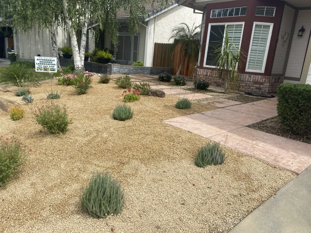 Expert yard cleanup service experts serving Suisun City, CA - Affordable Season Landscaping Care