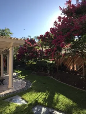 Affordable Season Landscaping Care