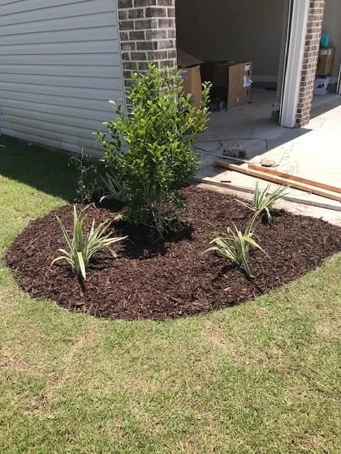 Top-rated garden landscaping experts serving Valdosta, GA - Affordable Services and More