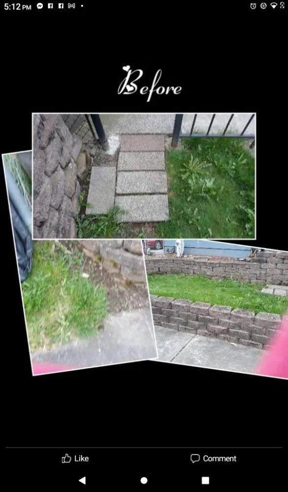 Expert yard cleanup service for beautiful yards in Marysville, WA by Affordable Services By Christina