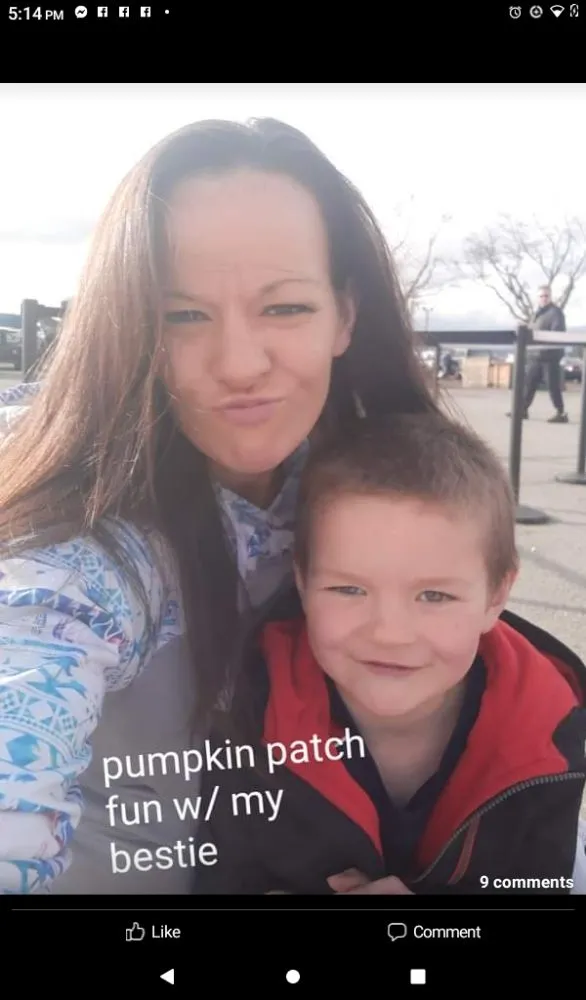 Trusted landscape installation experts serving Marysville, WA - Affordable Services By Christina