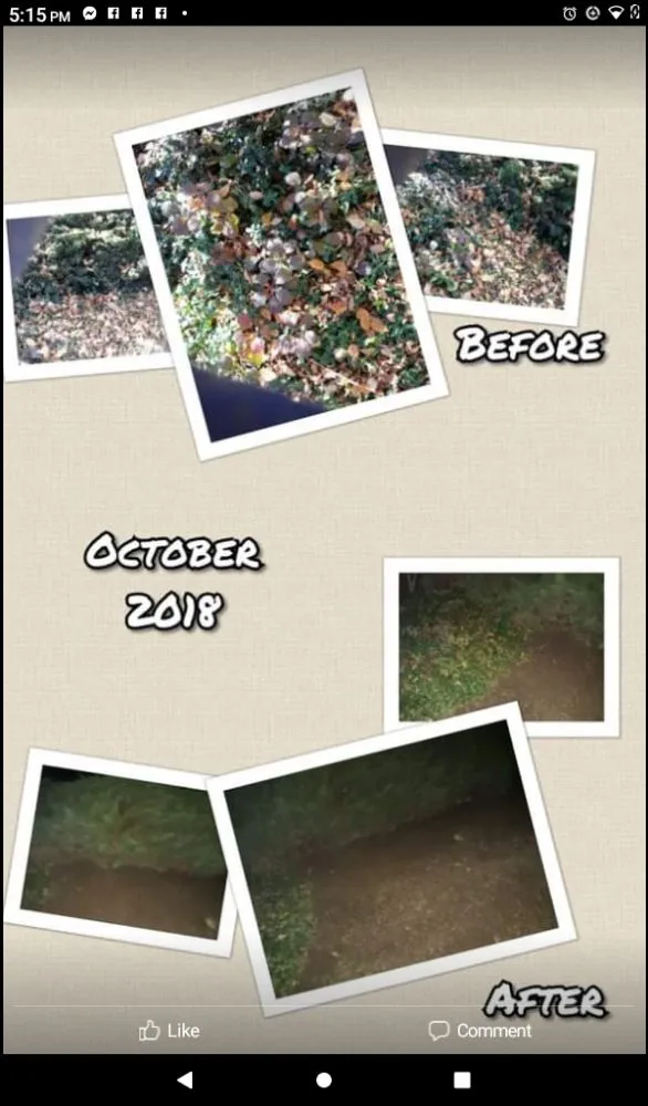 Professional landscape design for beautiful yards across Marysville, WA - Affordable Services By Christina