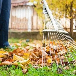 Custom lawn mowing service in Colorado Springs, CO - Affordable Services