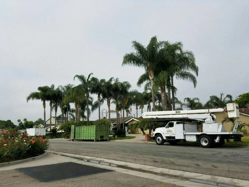 Expert garden landscaping experts serving La Habra, CA - Affordable Services Tree & Landscape