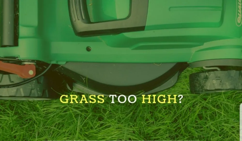 Professional landscaping services for beautiful yards in Lehigh Acres, FL by Affordable Services USA