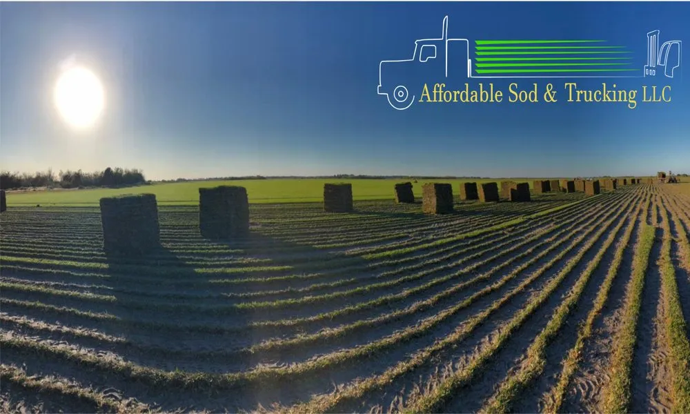 Reliable landscape design in Lehigh Acres, FL - Affordable Sod & Trucking