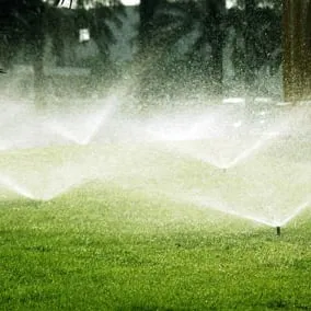 Expert lawn care service experts serving Arvada, CO - Affordable Sprinkler