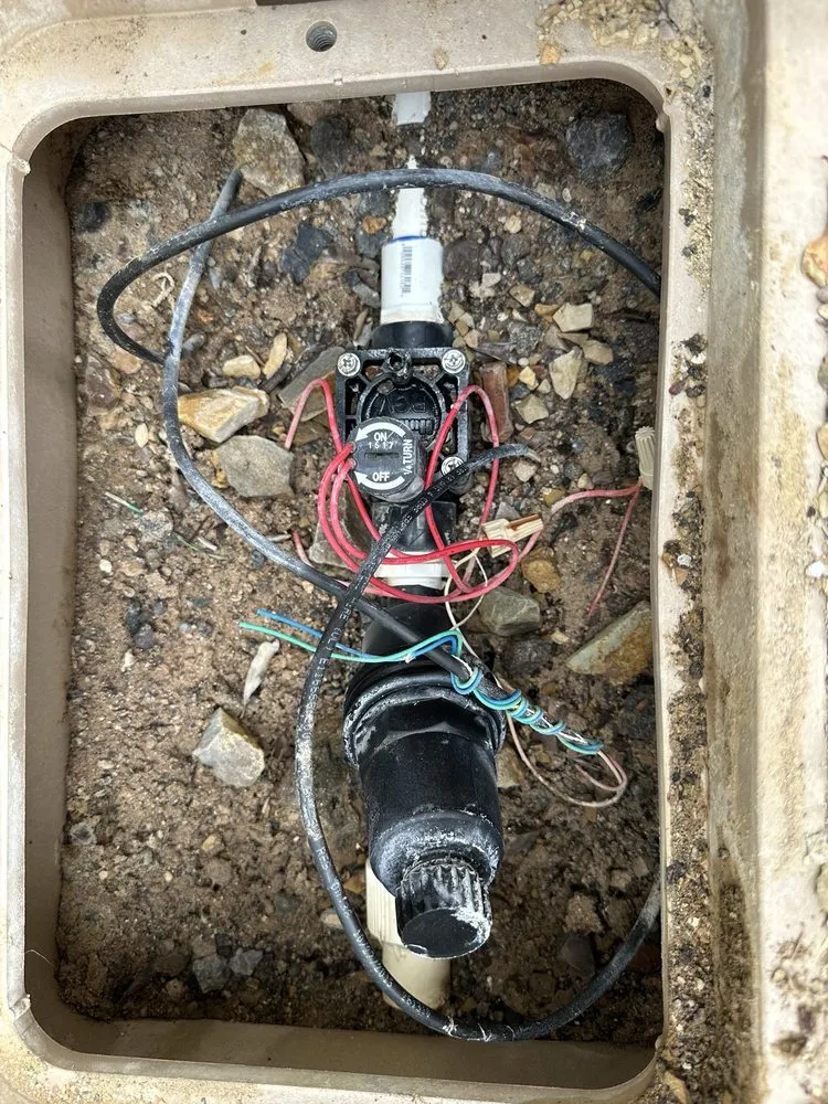 Local outdoor landscaping in Las Vegas, NV - Affordable Sprinkler Repair