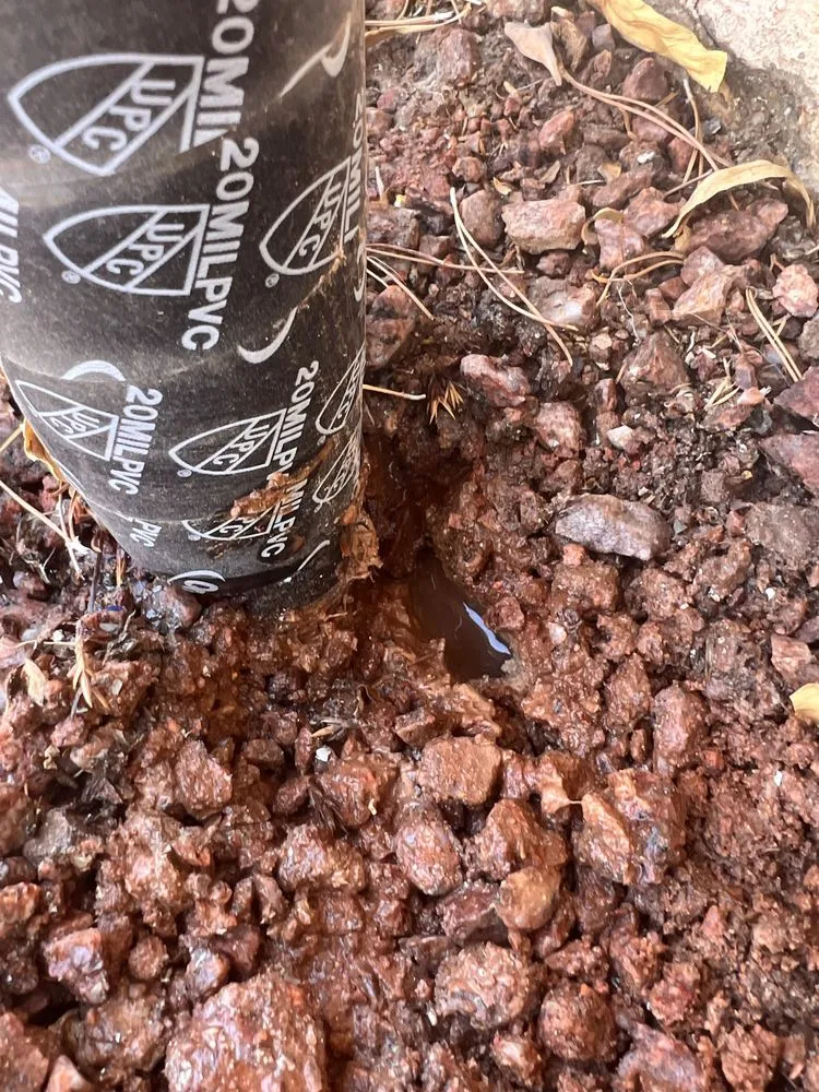 Trusted landscape installation in Las Vegas, NV - Affordable Sprinkler Repair