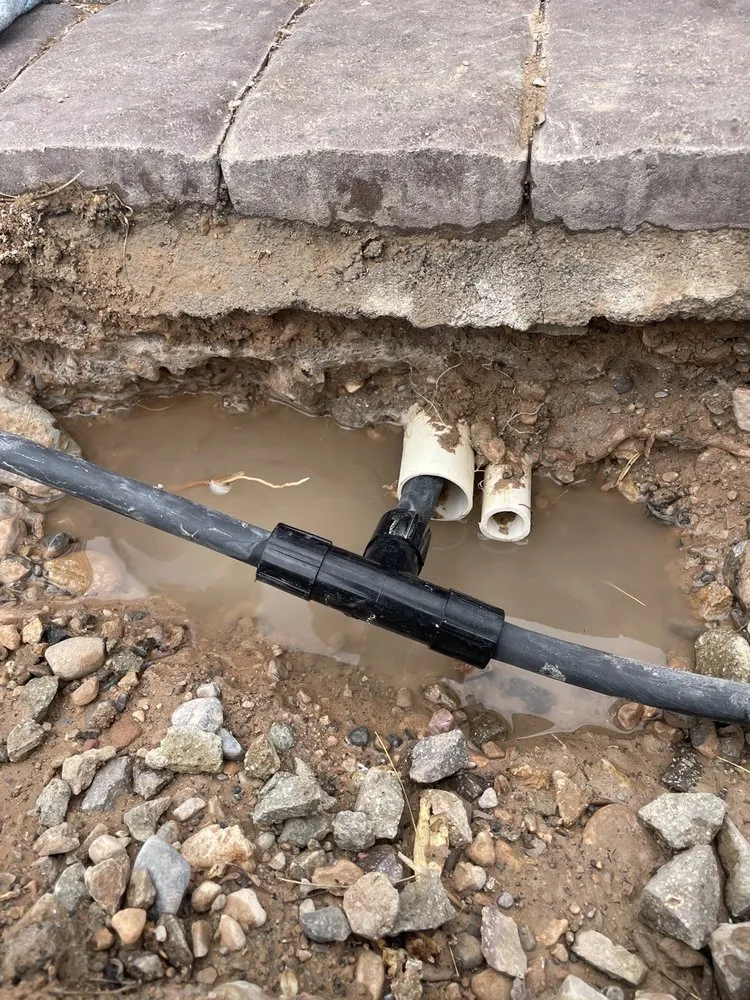 Trusted garden landscaping for year-round maintenance across Las Vegas, NV - Affordable Sprinkler Repair