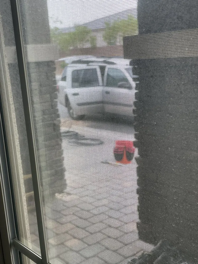 Top-rated landscape installation in Las Vegas, NV by Affordable Sprinkler Repair