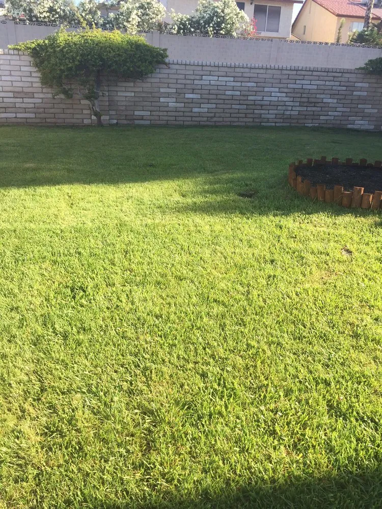 Expert lawn mowing service in Las Vegas, NV by Affordable Sprinkler Repair