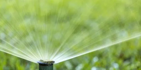 Custom lawn care service for outdoor upgrades across Las Vegas, NV - Affordable Sprinkler Repair