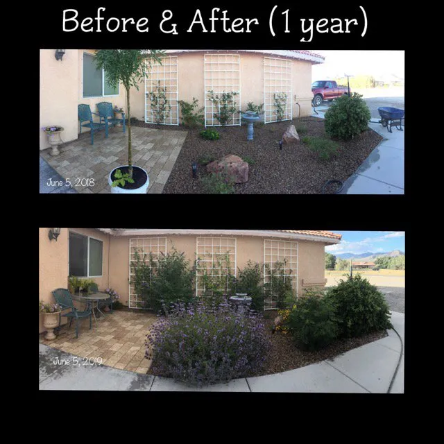Local lawn care service experts serving Las Vegas, NV - Affordable Sprinkler Repair