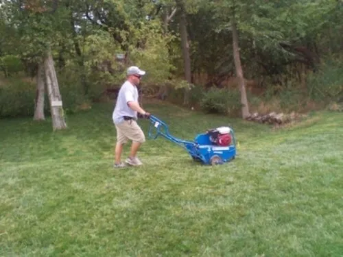 Reliable landscape installation for year-round maintenance across Andover, KS - Affordable Sprinklers and Landscape Concepts