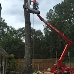 Top-rated yard cleanup service experts serving Amarillo, TX - Affordable Stump Grinding